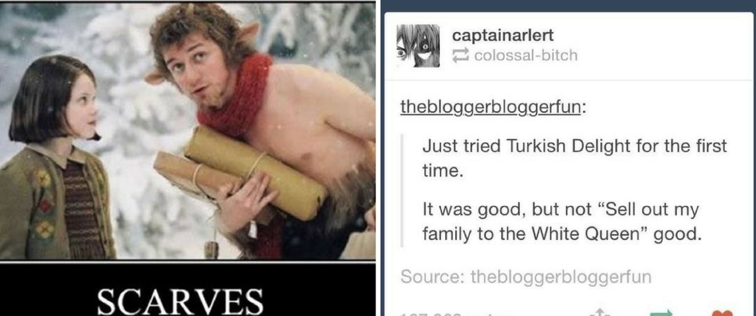 14 Chronicles of Narnia Memes Only True Fans Will Appreciate