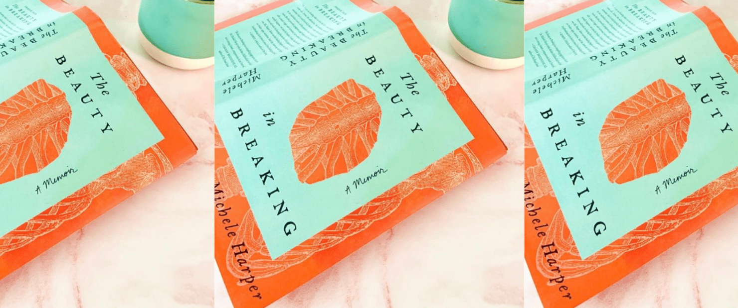 Everything to Know Before Reading the Beauty in Breaking Book