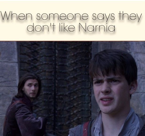 Memorable Quote From Aslan in the The Chronicles of Narnia Sparks  Hilarious Memes
