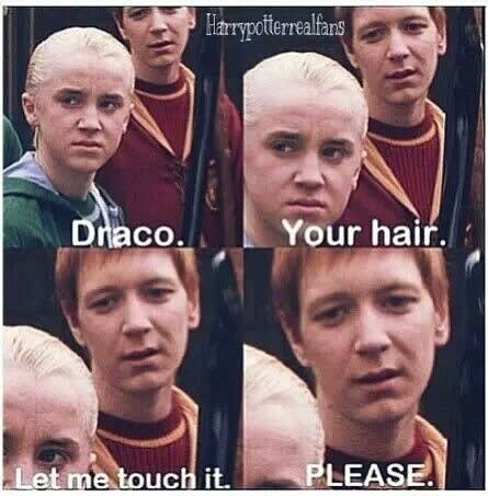 Harry Potter Memes - Harry and Draco.