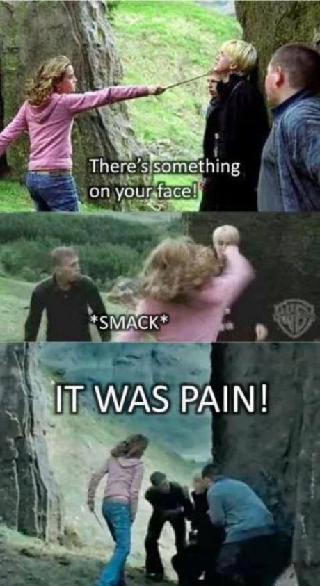 Voldemort and Hermione, Harry Potter Memes