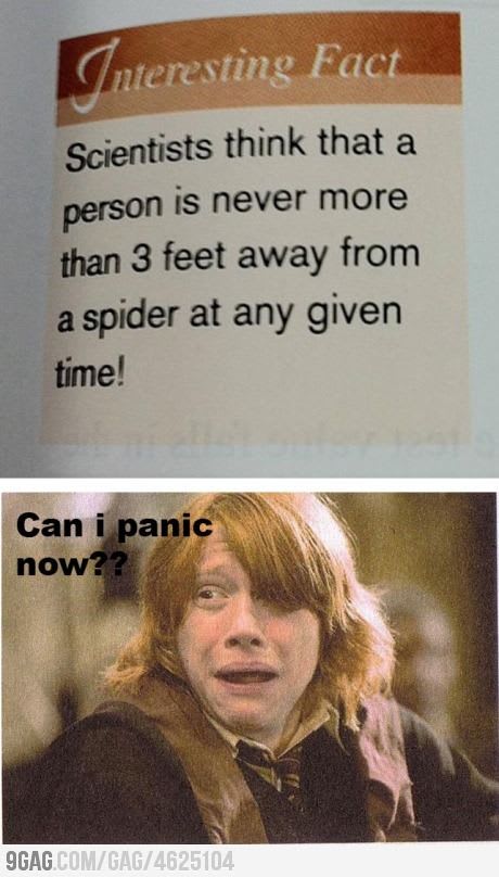 Clean Harry Potter Memes - -Unofficial Weasley