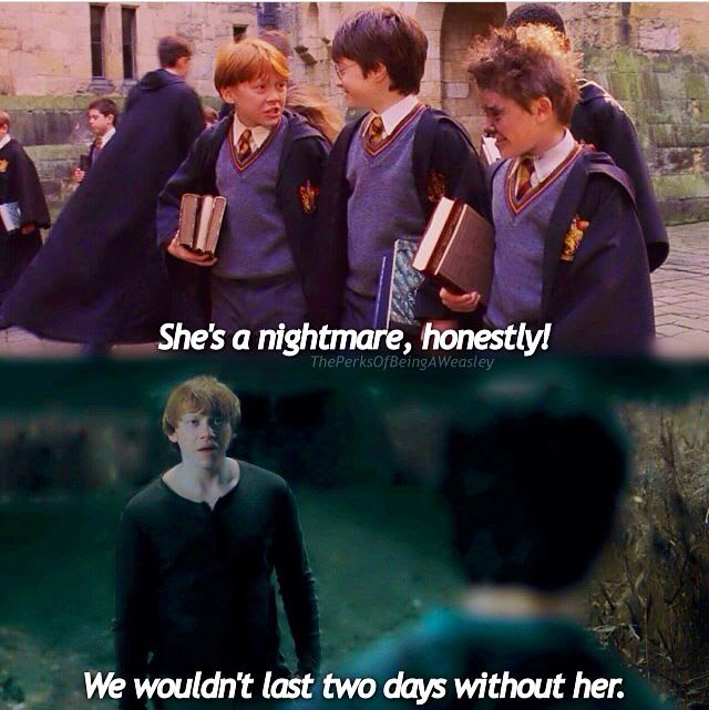 A humorous harry potter meme with ron weasley and hermione granger