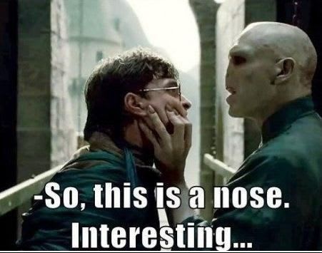 Funny Harry Potter memes.