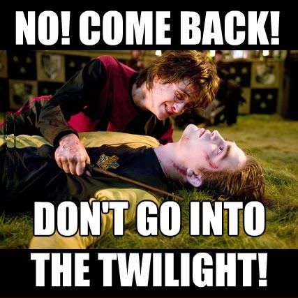 15 Harry Potter Memes Only True Potterheads Will Understand