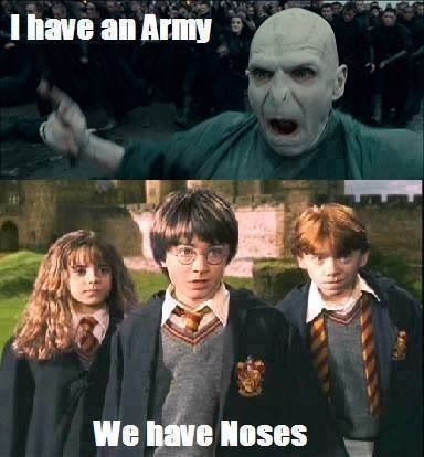 15 Harry Potter Memes Only True Potterheads Will Understand