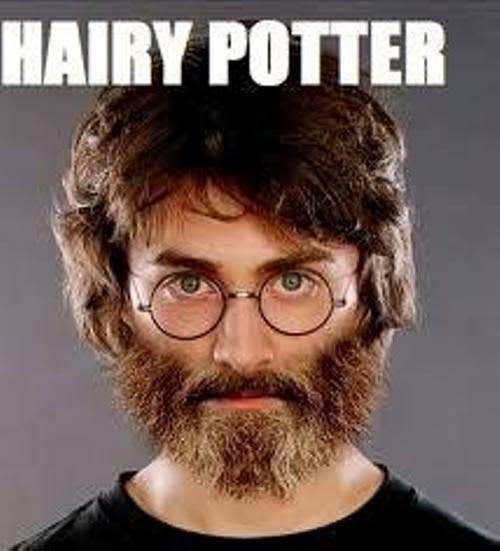Please enjoy these Harry Potter memes