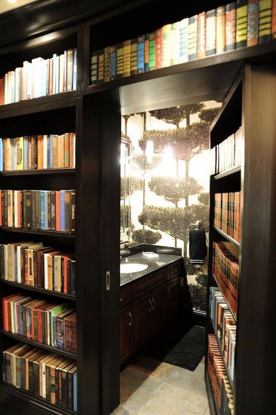 Home Libraries With Doors, Bookcase Door Design Plans