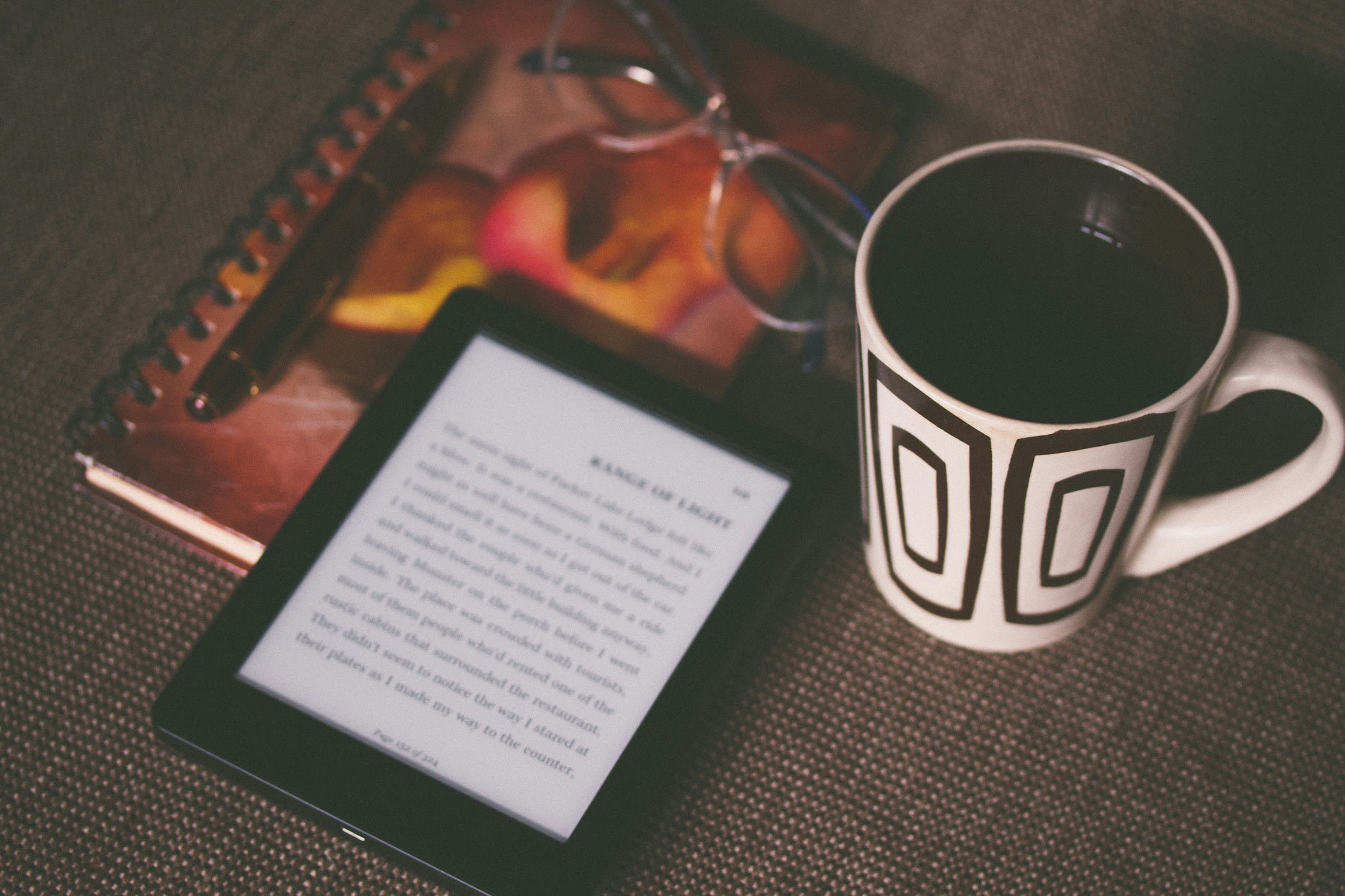 Why Book Lovers Wait for Stuff Your Kindle Day
