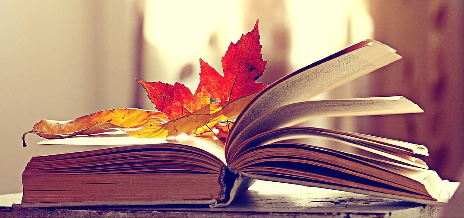 14 Fall Books to Get You in the Mood for Autumn