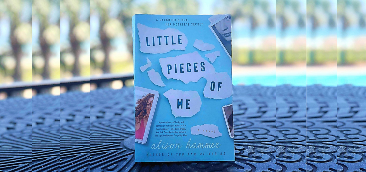 Buy Little Pieces of Me and You and Me and Us — Alison Hammer