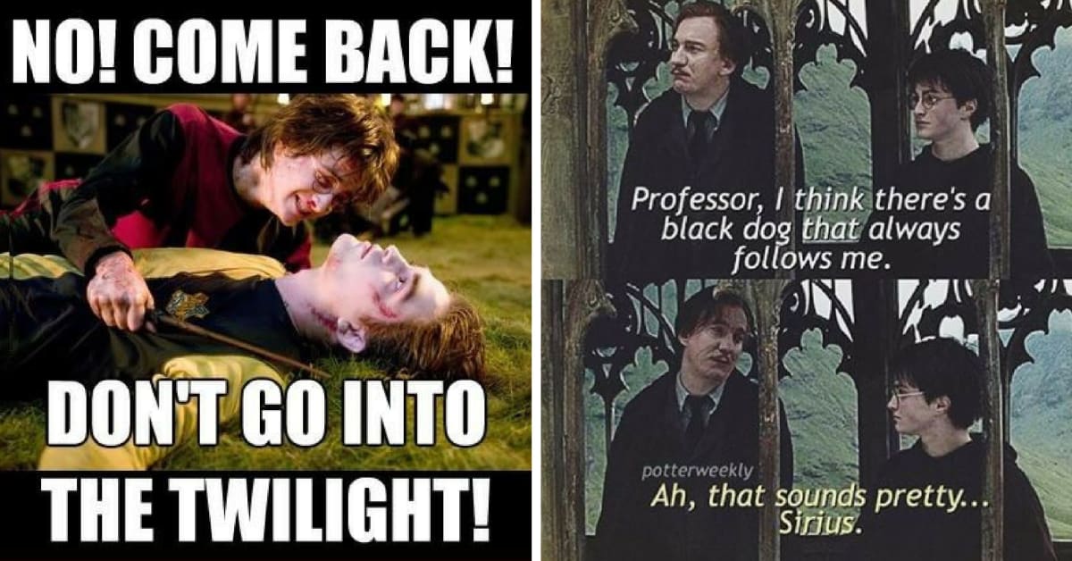 Harry Potter: 15 Hilarious Book Vs. Movie Memes Only True Fans Will Get