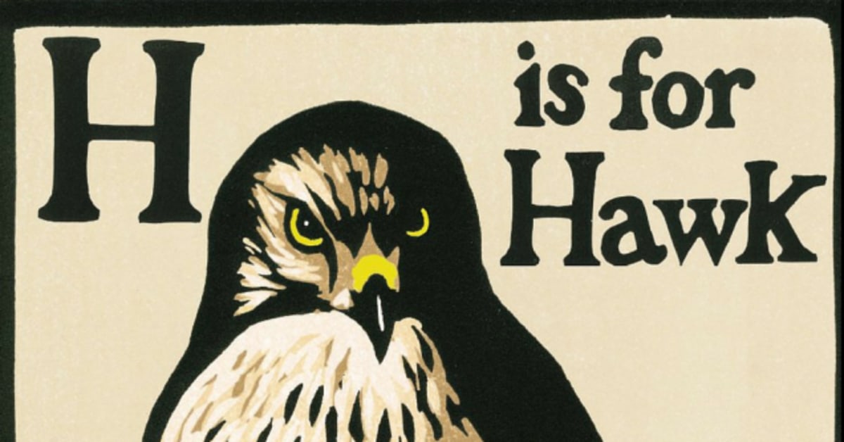 h is for hawk author